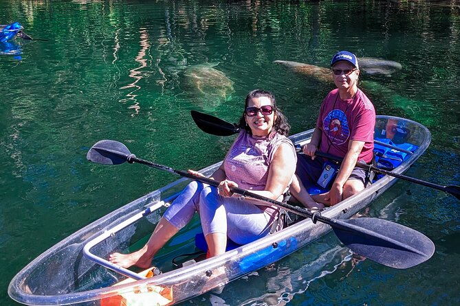 Weeki Wachee Clear Kayak Ecotours Manatee Season - November 14th-March 31st - Manatee Sightings and Viewing Opportunities