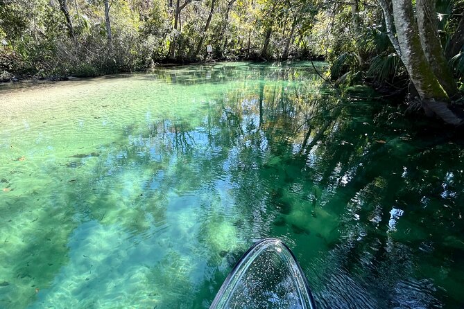 Weeki Wachee Clear Paddle Board Ecotours - Experience the Beauty of the River