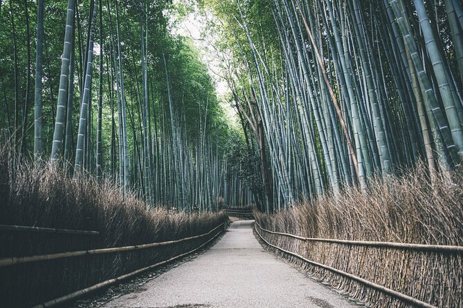 West Kyoto & Arashiyama: Walking 1DAY Tour W/Matcha & Calligraphy - Monkey Park Iwatayama