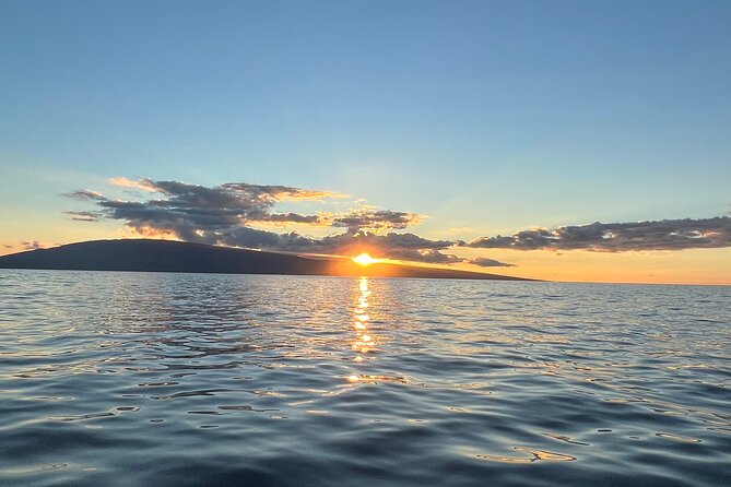 West Maui Sunset Whale Watch - Guest Experiences