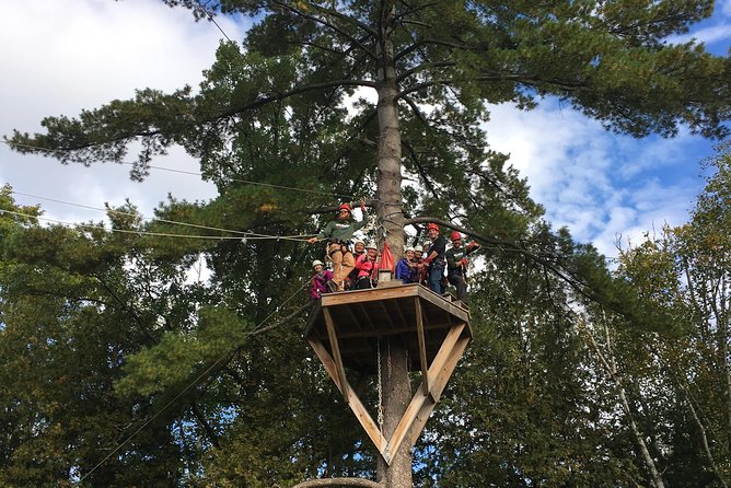 Wildman Zip Line Tour - Reviews and Testimonials From Previous Participants
