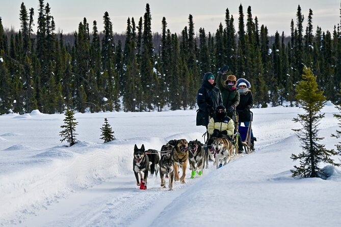 Winter Dog Sled Tour: Day or Night. - Health and Safety Considerations