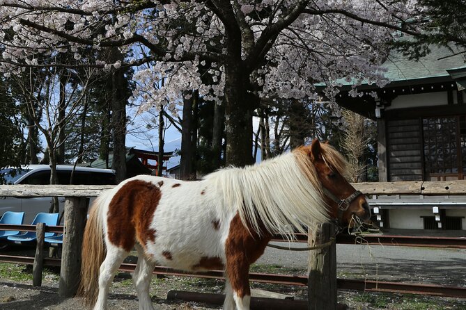 Yabusame Adventure With Mt. Fuji Views - Transportation and Accessibility