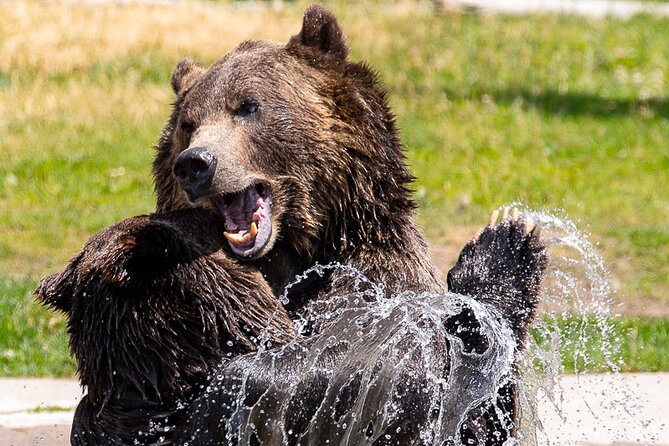 Yellowstone & Grand Teton National Parks: Small Group 4-Day Tour - Booking and Cancellation Policies
