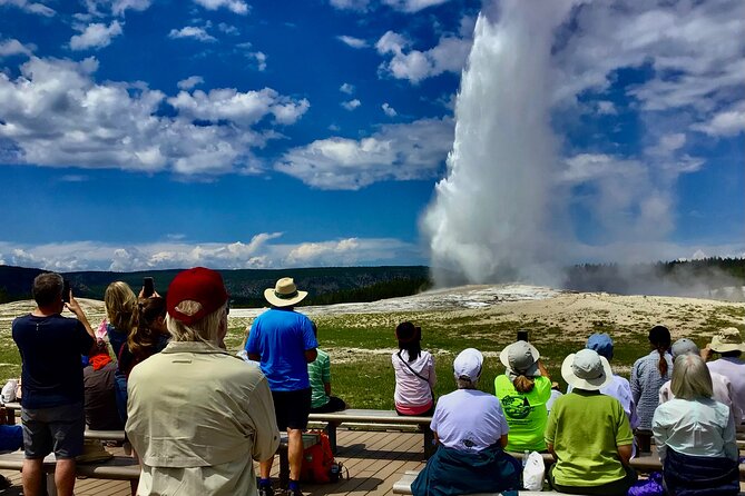 Yellowstone"Open Air" Glass Top Convertible Van West Yellowstone - Accessibility and Special Considerations