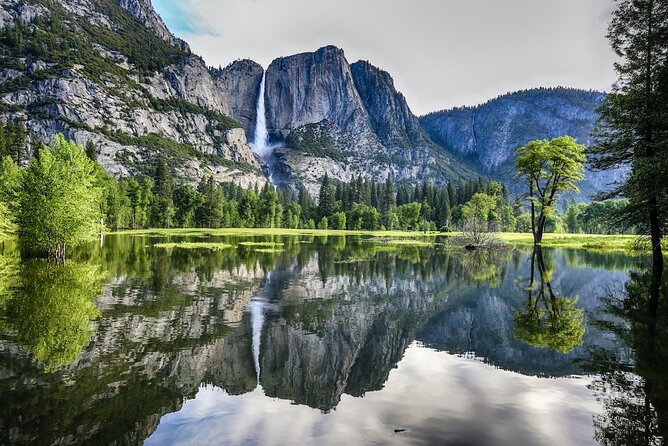 Yosemite 3-Day Lodging Adventure From San Francisco - Customer Experiences and Feedback
