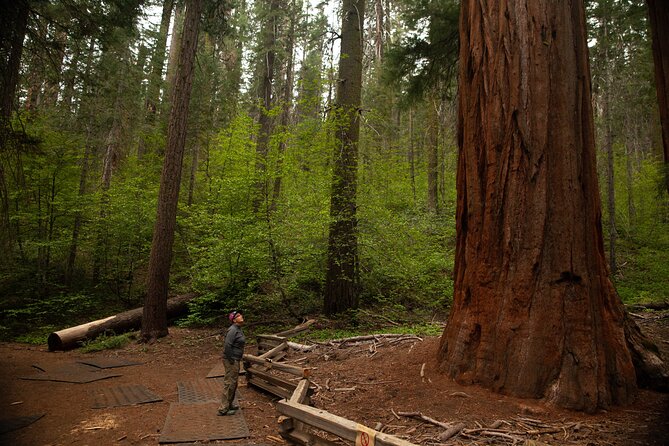 Yosemite Two Day Private Tour and Hike - Pricing Structure and Cancellation Policy