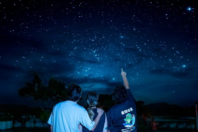 Zamami Island Starry Sky Premium Night Tour - Gourmet Dinner Box Experience