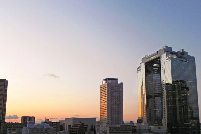 6 Hours Osaka Tour With National Licensed Guide - Good To Know