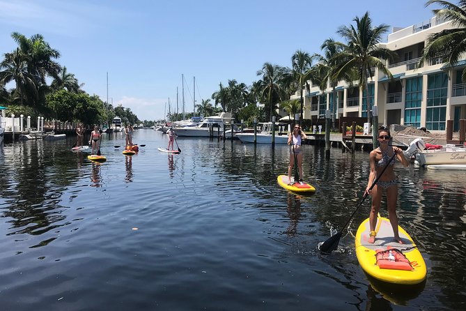 1.5 Hour Paddle Board Rental With Instruction - Meeting Point and Location