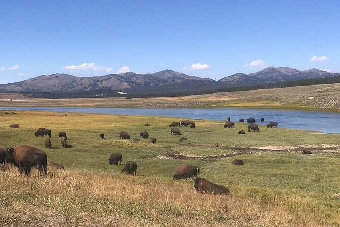2-Day Yellowstone National Park Upper and Lower Loop Exploration - Itinerary: Day 2