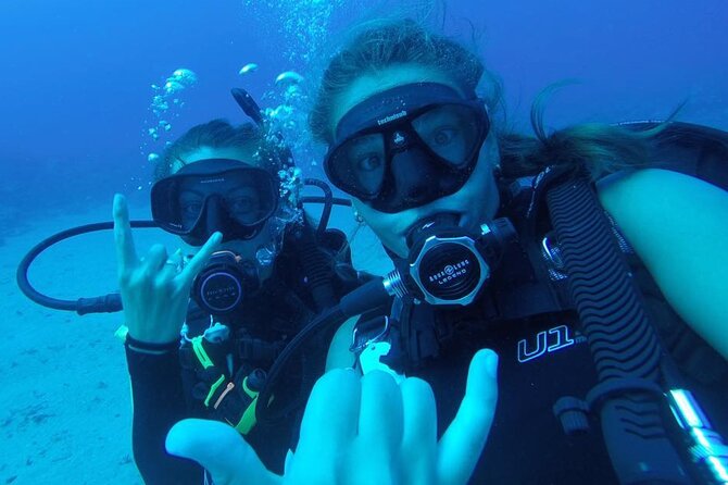 2 Tank Shore Dive at Sea Turtle Cove - Reviews and Customer Feedback