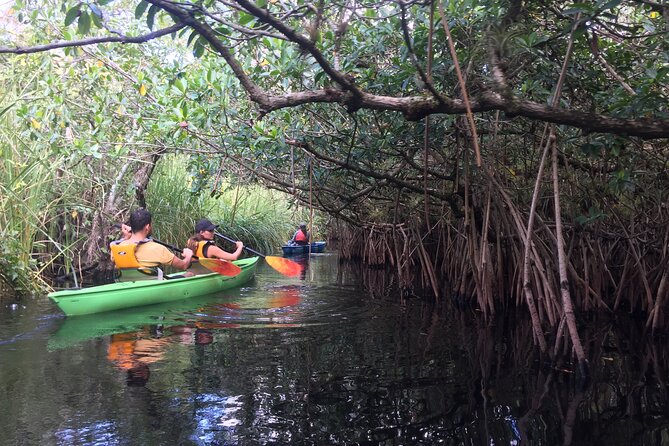 2Hour Everglades Kayak Safari Adventure Through Mangrove Tunnels - Safety Considerations