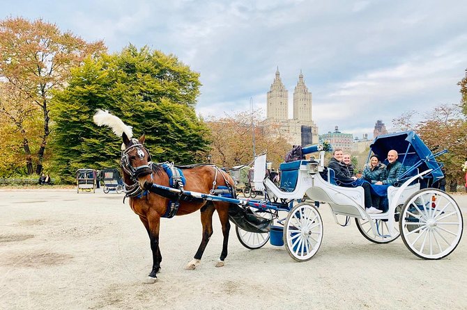 45 Minute VIP Central Park Carriage Ride - Cancellation Policy
