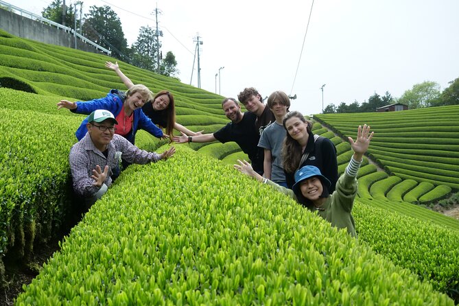 7hr Private Guided Van Tour Nara & Matcha Farm - Taking in Local Tea Traditions