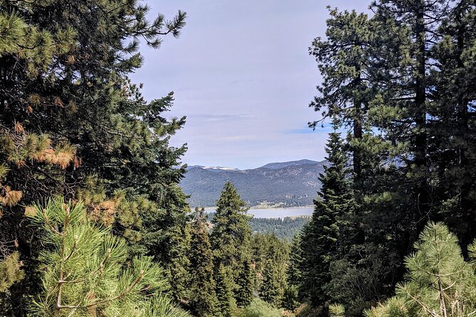 A Locals Favorite Hike in Big Bear With Lake Swimming Experience - Meeting Point and Logistics