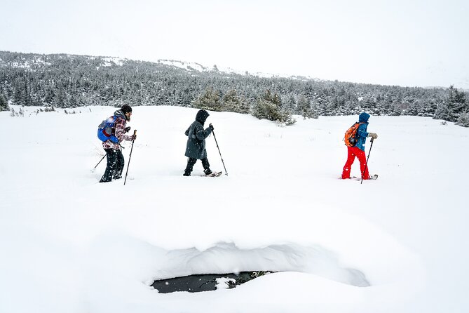 Advanced Snowshoeing Adventure - Booking Information and Policies