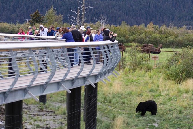 Alaska Wildlife Day Tour With Free Hotel Pickup - Concerns Raised by Reviewers