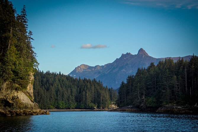 Alaska Wildlife Tour in Kachemak Bay - Traveler Reviews and Feedback