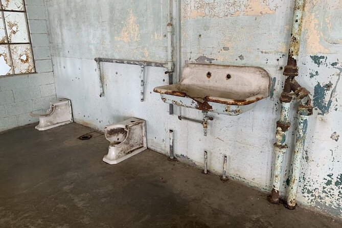Alcatraz Night Tour With Muir Woods and Sausalito - Customer Experiences and Reviews