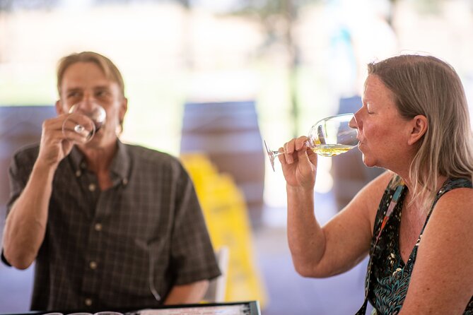 All-Inclusive Social Wine Tour - Transportation and Amenities