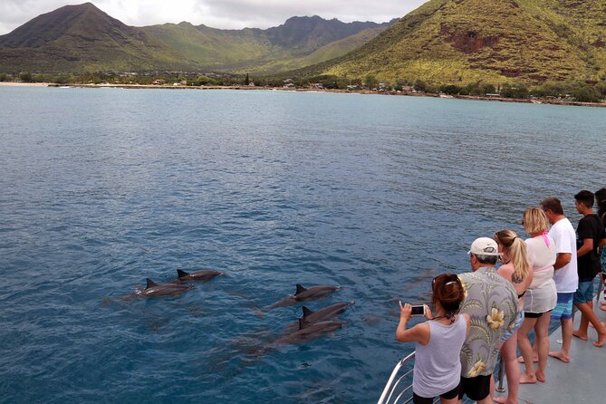 All-Inclusive Sunset Dolphin Watch and Snorkeling Cruise - Customer Reviews and Feedback