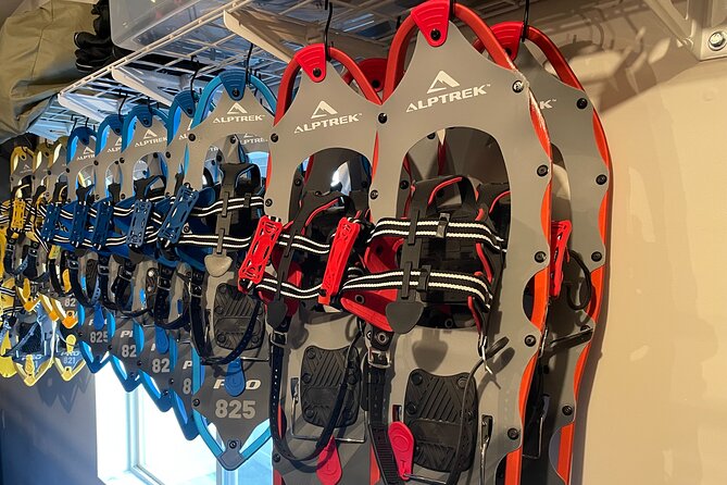 Backcountry Snowshoeing in Pristine Utah Mountains - Safety Considerations and Accessibility