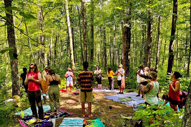 Bainbridge Island Serenity Forest Hike & Cultural Landmarks Tour - Reviews and Testimonials