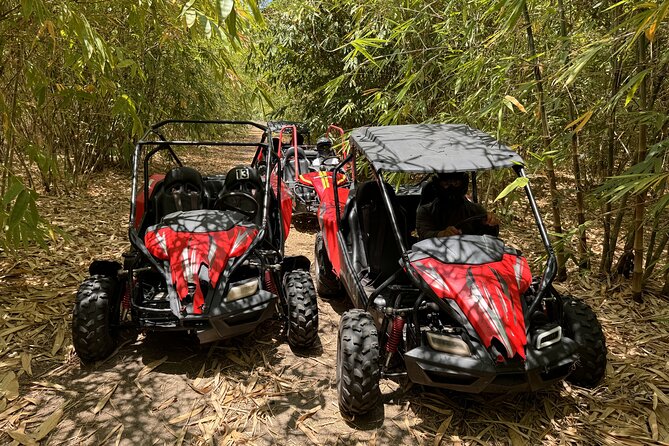 Bamboo Dune Buggy Tour - Tour Policies and Cancellations