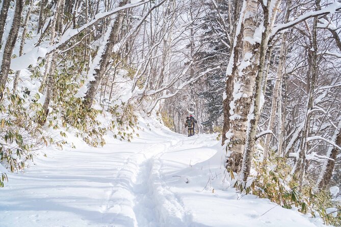 Bamboo Ice Cave Snowshoeing Tour in Noboribetsu - Refueling With a Delightful Lunch