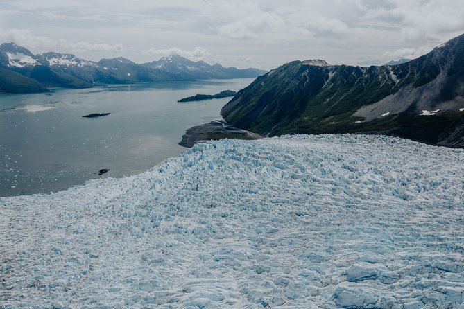 Bear Glacier Scenic Signature Flight - What to Expect