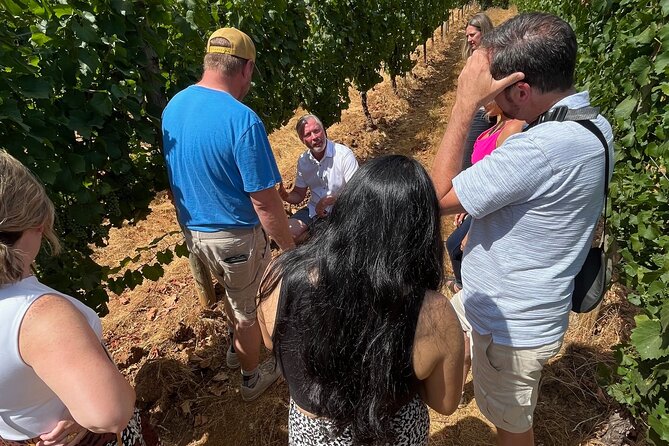 Bed and Breakfast Wine Tour - Small Group, Joinable/Sharable - The Sum Up
