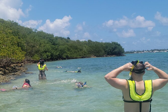Beginner Friendly Island Snorkeling - Tour Accessibility and Restrictions