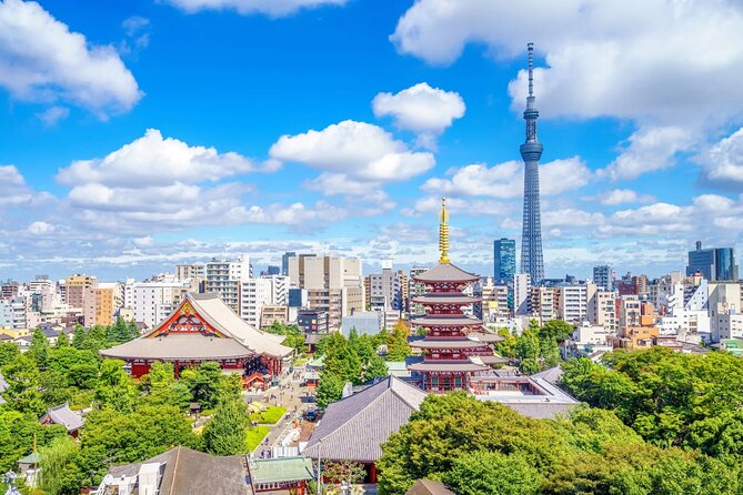 Best of Tokyo in a Day Small Group Tour - Exploring Tokyos Rich Culture and History