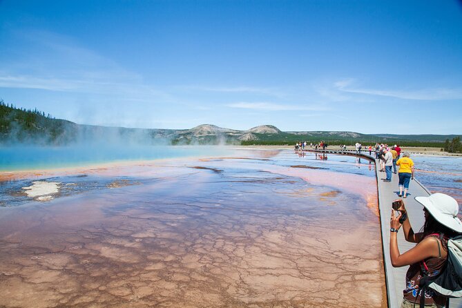 Best of Yellowstone National Park From Gardiner - Private Tour - Pricing and Reservation Information