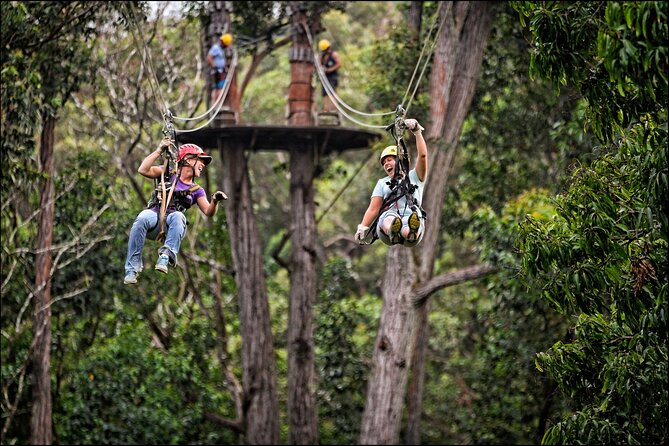 Big Island Kohala Zip and Dip Tour From Kona - Scenic Views and Unique Experiences