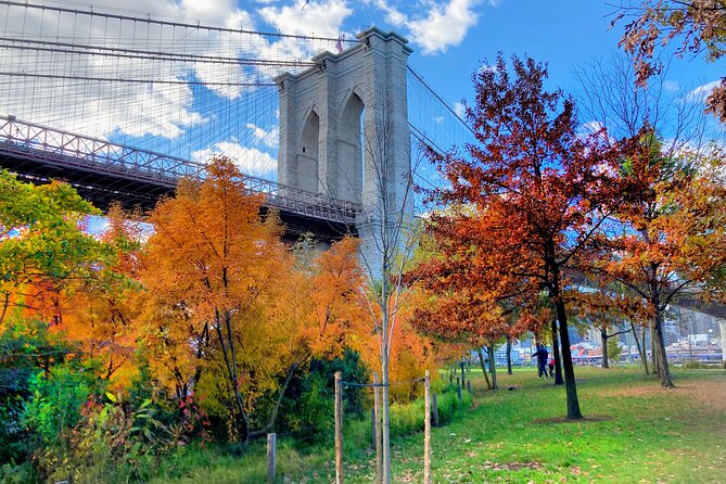 Brooklyn Bridge Waterfront Guided Bike Tour - Meeting Point and Cancellation Policy