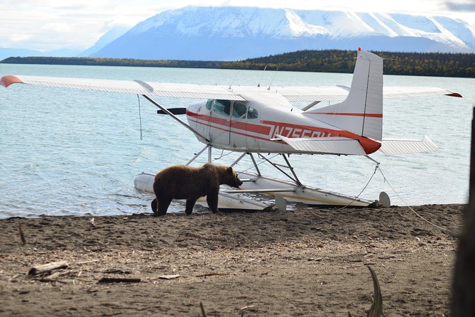 Brooks Falls Katmai Bear Viewing in a Float Plane - Customer Feedback and Ratings
