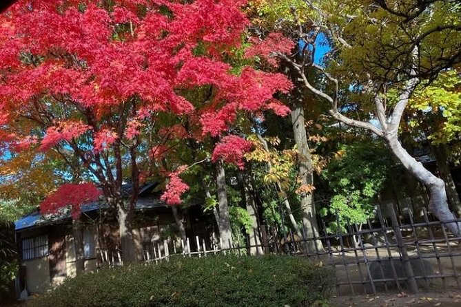 Calligraphy Experience at an Old House Near Matsumoto Castle - About the Calligraphy Experience