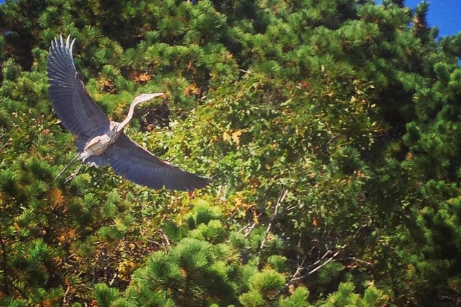 Cape Cod Explorer Tour - What to Expect During the Tour
