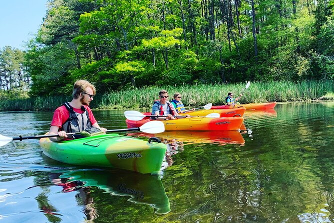 Cape Cod Kayak Rentals in the Great Marsh - Customer Reviews and Ratings
