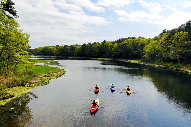 Cape Cod Sunset Kayak Tour - Tips for an Enjoyable Kayaking Experience