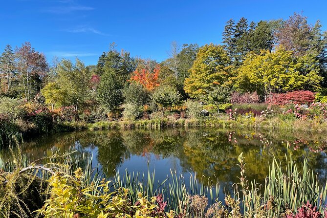 Central Coastal Maine Private Day Tour - Positive Customer Feedback