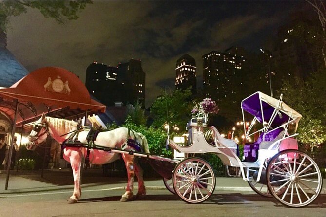 Central Park and NYC Private Horse Carriage Ride - Embracing the Gilded Age Ambiance
