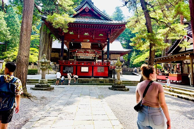 Cherry Blossom Mount Fuji Customizable Luxury Vehicle Guided Tour - Admiring Mount Fuji