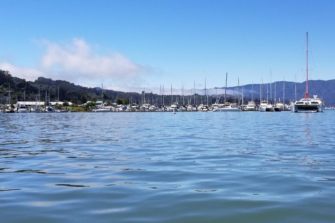 Combo Small-Group Tour: SF City Plus Muir Woods & Sausalito - Pricing and Cancellation Policy