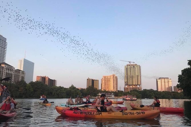 Congress Avenue Bat Bridge Kayak Tour in Austin - Wildlife Sightings