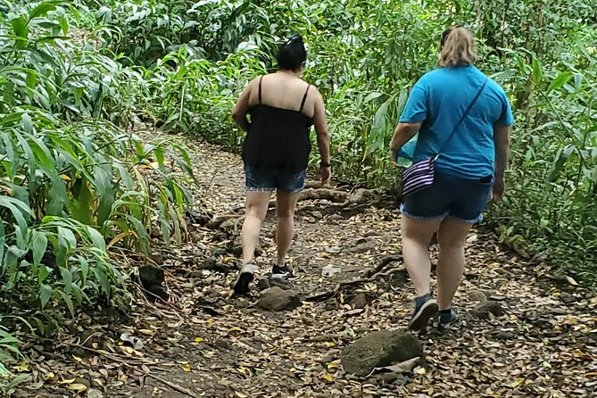 Custom Island Adventures Tour - Personalized Itinerary and Flexibility