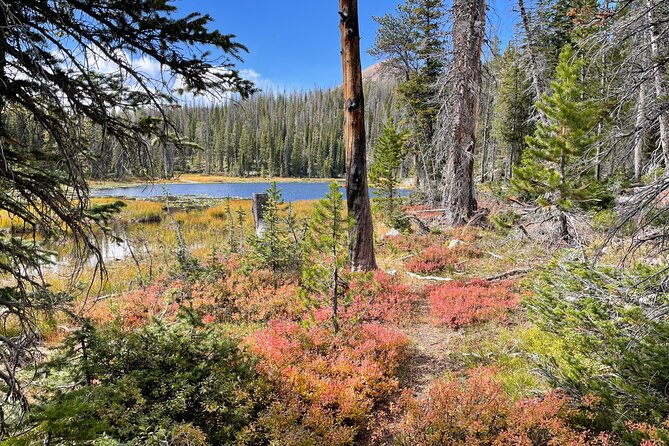 Day Trip Activity at Utah Mountain Backcountry With Box Lunch - Booking and Cancellation Policy
