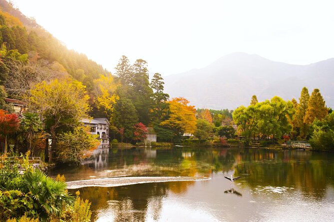 Dazaifu Bungo Mori Roundhouse Beppu Yufuin Private Tour - Tour Accessibility and Suitability